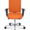 Sitness Open X Deluxe P sim