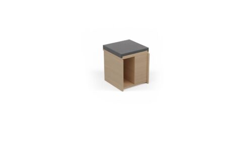 modul cub modularizabil FCPM42